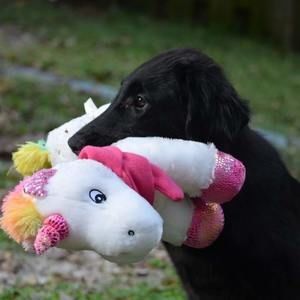 Meet your Posher, Katy